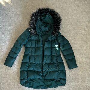 Women’s Large The North Face Dreamer Parkina